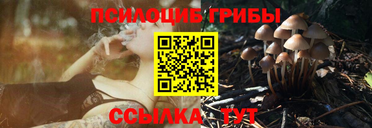 Псилоцибиновые грибы Magic Shrooms  Вход с VPN  Гудермес 